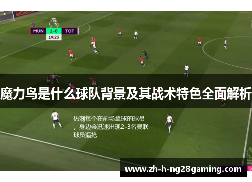 魔力鸟是什么球队背景及其战术特色全面解析