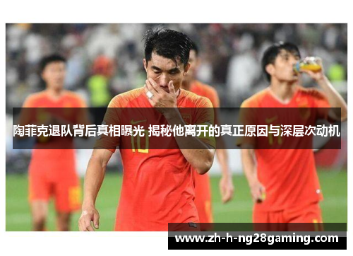 陶菲克退队背后真相曝光 揭秘他离开的真正原因与深层次动机