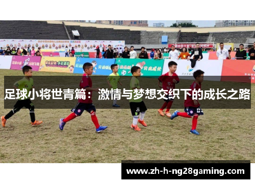 足球小将世青篇：激情与梦想交织下的成长之路