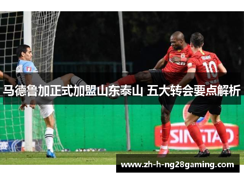 马德鲁加正式加盟山东泰山 五大转会要点解析
