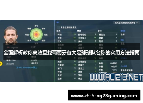 全面解析教你高效查找葡萄牙各大足球球队名称的实用方法指南 全面解析教你高效查找葡萄牙各大足球球队名称的实用方法指南