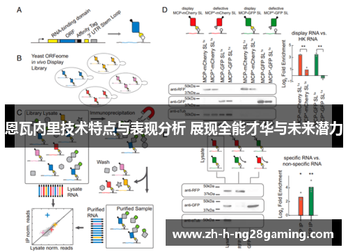 恩瓦内里技术特点与表现分析 展现全能才华与未来潜力 恩瓦内里技术特点与表现分析 展现全能才华与未来潜力