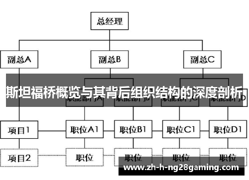 斯坦福桥概览与其背后组织结构的深度剖析