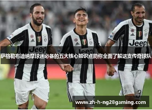 萨格勒布迪纳摩球迷必备的五大核心知识点助你全面了解这支传奇球队