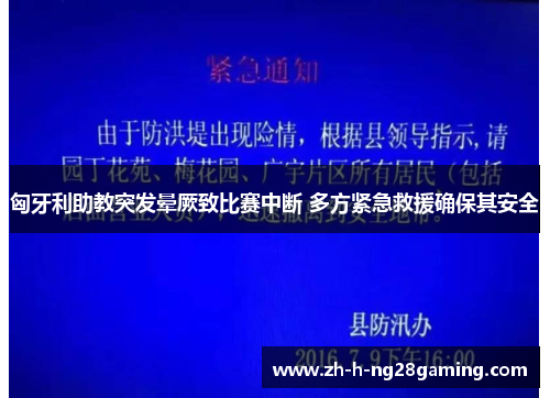 匈牙利助教突发晕厥致比赛中断 多方紧急救援确保其安全 匈牙利助教突发晕厥致比赛中断 多方紧急救援确保其安全