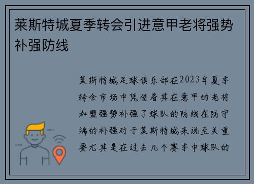莱斯特城夏季转会引进意甲老将强势补强防线 莱斯特城夏季转会引进意甲老将强势补强防线
